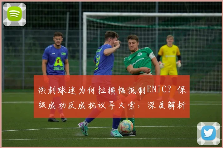 热刺球迷为何拉横幅抵制ENIC?保级成功反成抗议导火索,深度解析