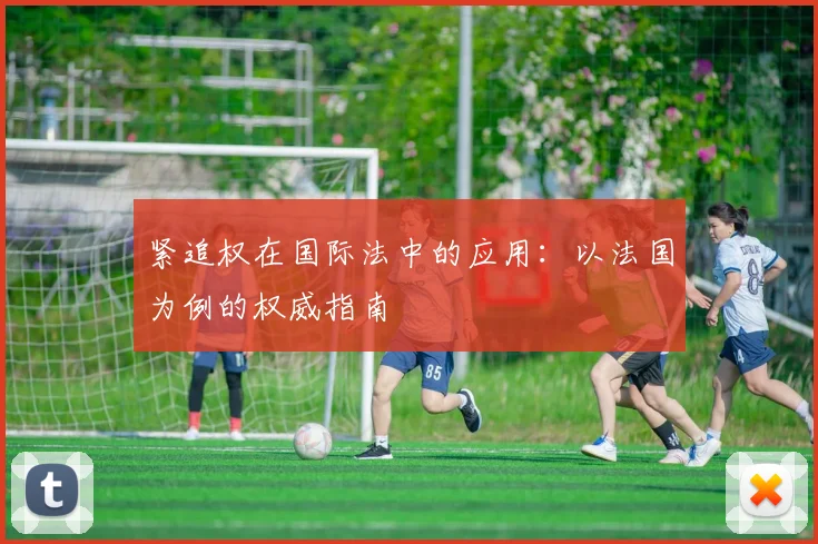 紧追权在国际法中的应用：以法国为例的权威指南